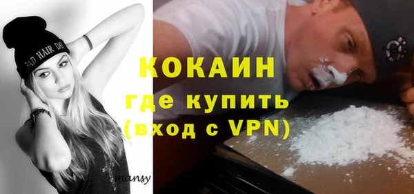 дживик Богородицк