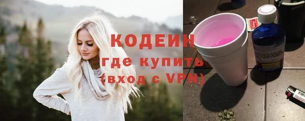 дживик Богородицк