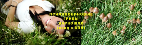 Альфа ПВП Богданович