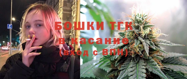 дживик Богородицк