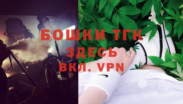 дживик Богородицк